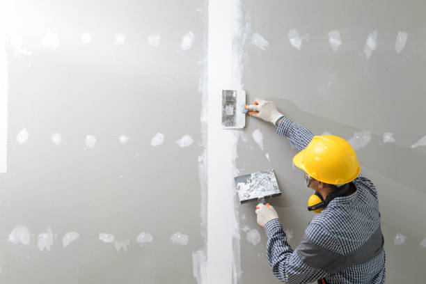 Best Drywall Installation  in Lewiston, MN